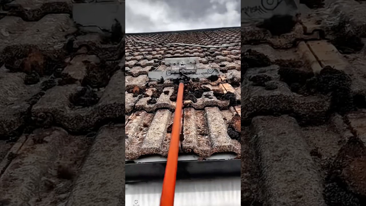 Roof Cleaning Work Tool for Efficient Moss Removal 