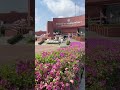 Untitled Video