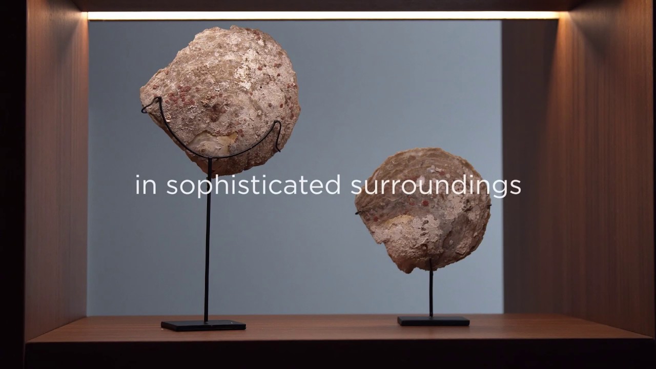 MarBella, MarBella Colelciton new M-Bar