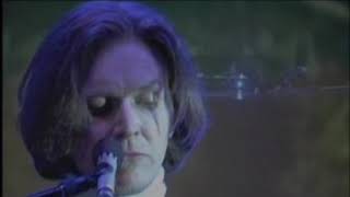 David Sylvian - Live in Japan