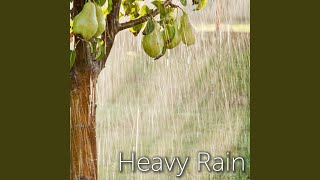 Heavy Rain