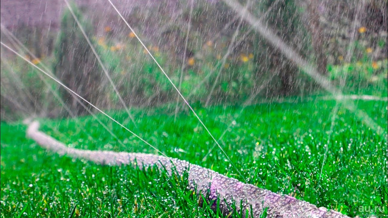 GoldSpray от российского производителя VIOLA