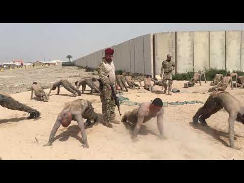 تدريب الجيش العراقي 