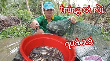 Đặt 12 cửa ngục trúng mẻ cá đậm/UCMT#78