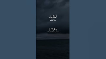 #القارئ #علي_جابر #سورة_النحل #قران_كريم_راحه_نفسيه #yasseraldossary