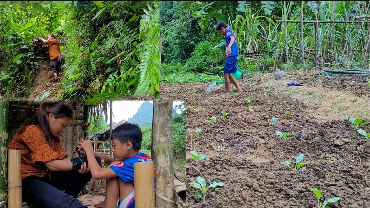 The single mother went to collect firewood and fell, breaking her arm ...
