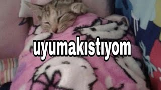 Alt Yazıyı Yapmaya Üşendim