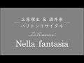 Nella fantasia