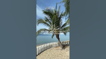 سورة الأحزاب الآية 65 القارئ سعود آل جمعة #قرآن #سورة_الاحزاب