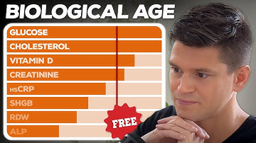 Best Way to Calculate Your Biological Age for Free | Bortz Blood Age Calculator
