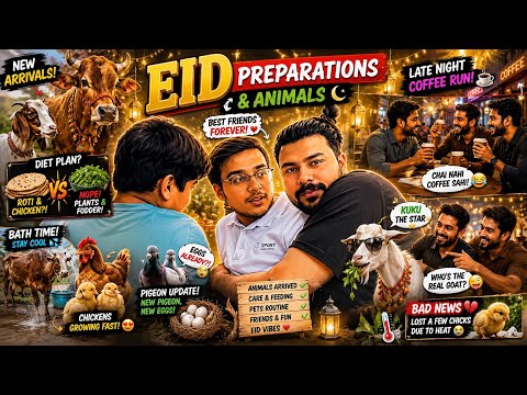 24 May 2026 Eid Preparations Begin! 🐄 New Animals, Coffee Night, Pet Updates & Best Friends ❤️ 