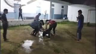 Download lagu new year celebrations || water & soil vibe