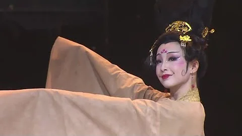 Beautiful Chinese Classical Dance【24】《麗人行》宗楠- 480p - 天天要聞