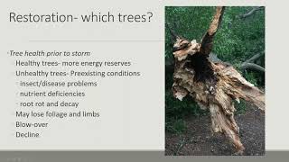 NC Trees & Storms: Recovery