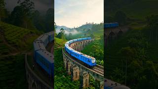 Sri Lanka Tour with Private Driver & Vehicle from USD 50 | MYSL Travel 🇱🇰