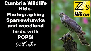 Cumbria Wildlife Hide with Pops