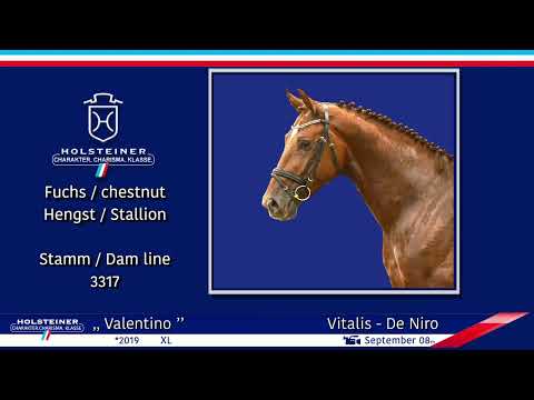 Holsteiner Elite-Reitpferdeauktion 2022