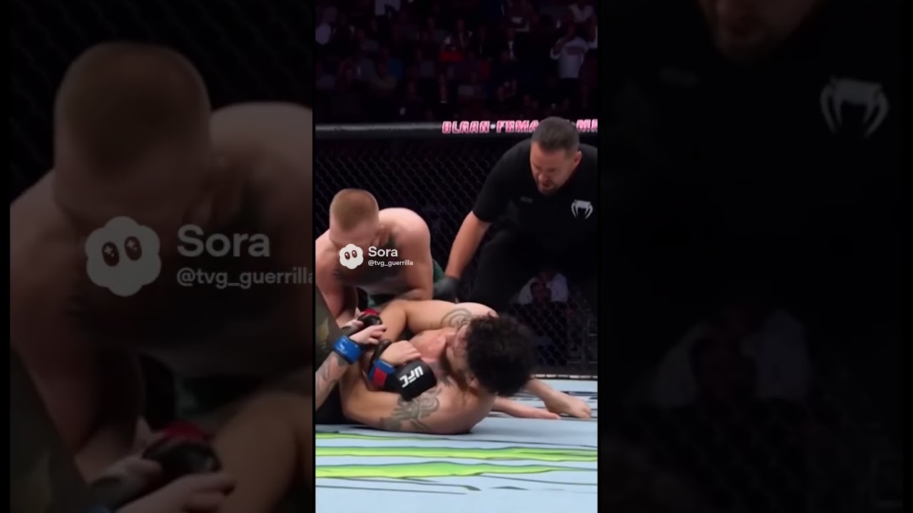 Conor McGregor ai gets flying Armbar 