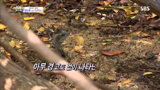 정글의법칙 130809 #34(2)
