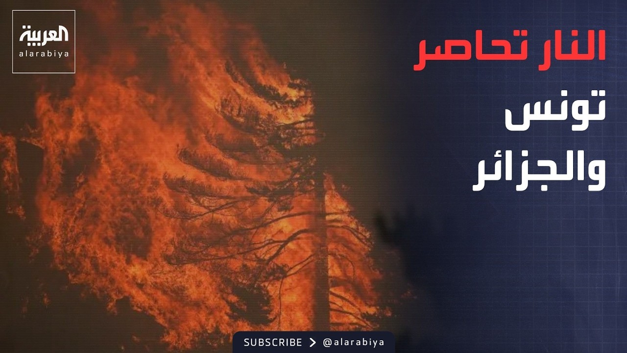 ���� ������� | ���� ����� ����� ����� ����.. ������ ����� ����� ���� ��������
 - نشر قبل 14 دقيقة