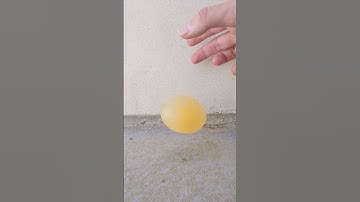 Bouncy Egg