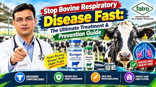 Stop Bovine Respiratory Disease Fast | The Ultimate Treatment & Prevention Guide