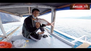 Double Strike | Ekor Kuning | Ruby Snapper
