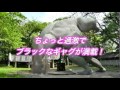 映画『劇場版 はらぺこヤマガミくん』予告編