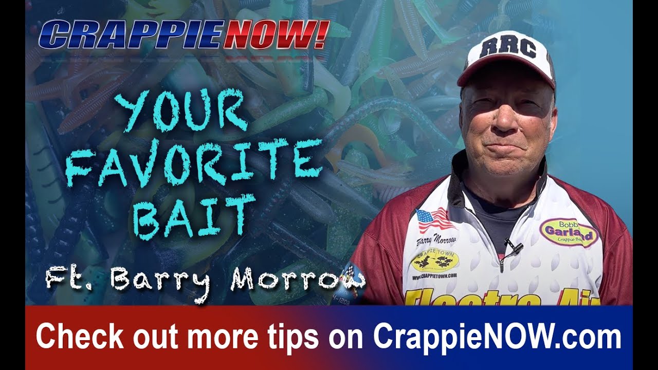 Truman Lake Crappie Guide's Favorite Bait