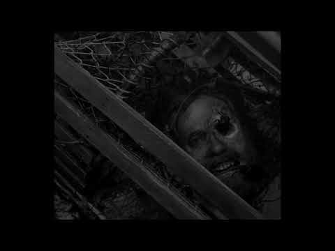 შუქურა - 16 იანვრიდან