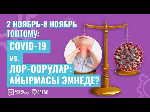 Video: Вирусту барактан кантип алып салса болот