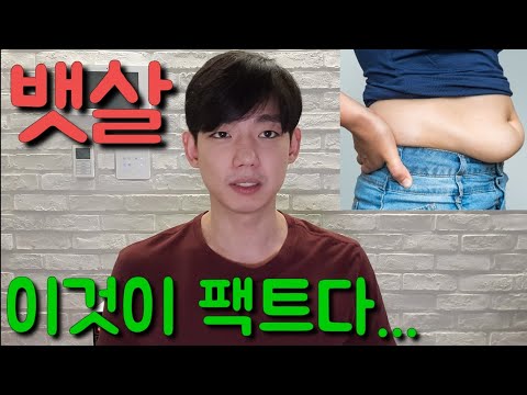 내장지방분해