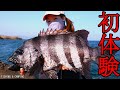 【神回！！】女が初体験の餌代０円！！初挑戦で釣り人が憧れる磯の王者がまさかの怒涛の大連発！！遂に驚愕の大物が女の釣り竿をぶち曲げる！！丨釣り丨Fishing丨Catch＆cook