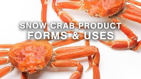 Snow Crab Product Forms and Uses | Chef Alex Haun