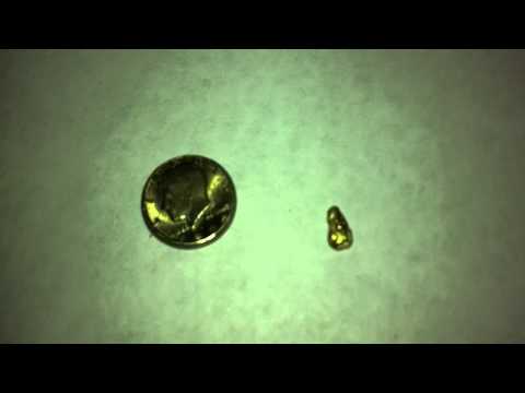 Five Gram Gold Nugget Found In Garden