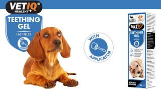 VETIQ - Teething Gel
