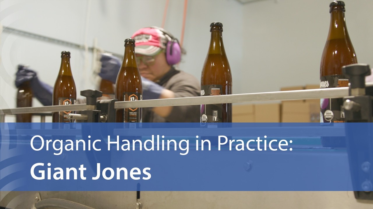 Organic Handling in Practice: Giant Jones