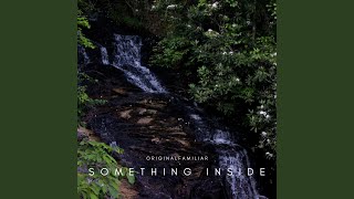 Something Inside