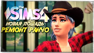 РЕМОНТ, РАЗБИТОЕ СЕРДЦЕ И НОВАЯ ЛОШАДЬ // КОННОЕ РАНЧО ФОКСОВ СИМС 4! // The Sims 4 Horse Ranch