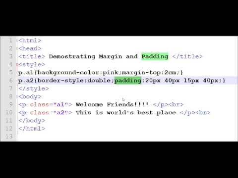 Learn CSS: How to use Margin and Padding in HTML using CSS?