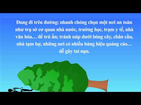 Cách phòng chống bão - lũ lụt