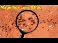 Amazing tricks in photoshop  magnifier lens effect  sk photos