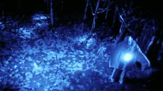 Rabbit's Moon vs Goodbye Horses
