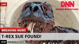 BREAKING NEWS -- T-Rex Sue has been spotted at the Field Museum.
