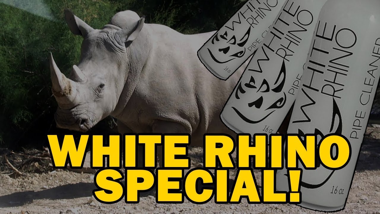 White Rhino Glass Cleaner BOGO March '17!