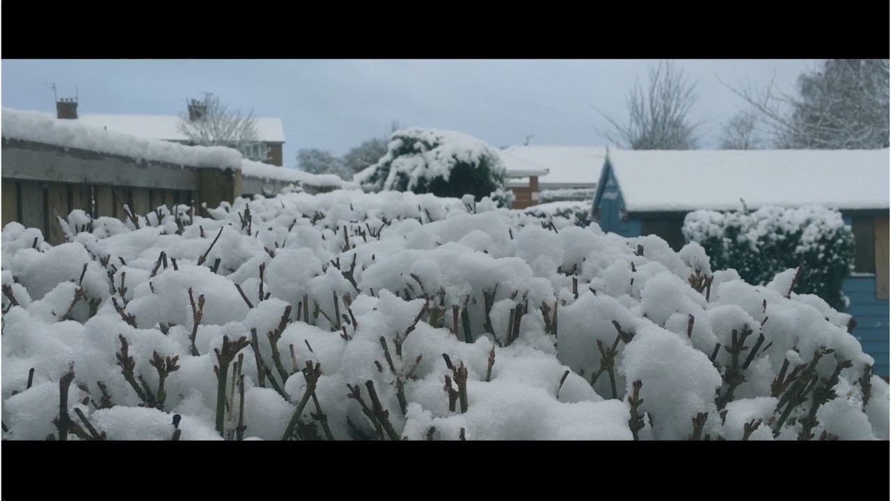 First snowfall of 2021 in Swindon | 24.01.21