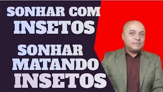 Sonhar Com Insetos Sonhar Matando Insetos