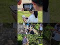 (レポート)伏見桃山城でドローン空撮