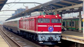 EF81型95号機(クゴ)牽引 カシオペア紀行 青森行き 通過  警笛あり  in宇都宮駅 #ef81 #カシオペア紀行