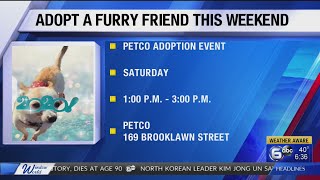 Small Breeds of East Tennessee holding pet adoption event this weekend